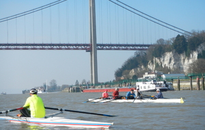 sorties grandes marées mars 2016