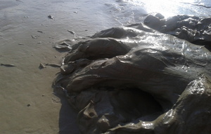 exprime toi avec ton corps