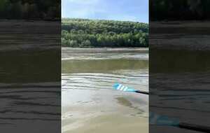 sortie grandes marées aviron
