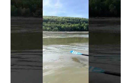 sortie grandes marées aviron
