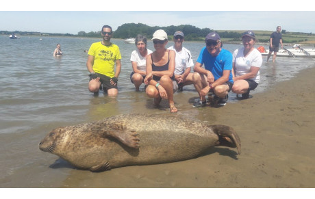 Expédition en Bretagne